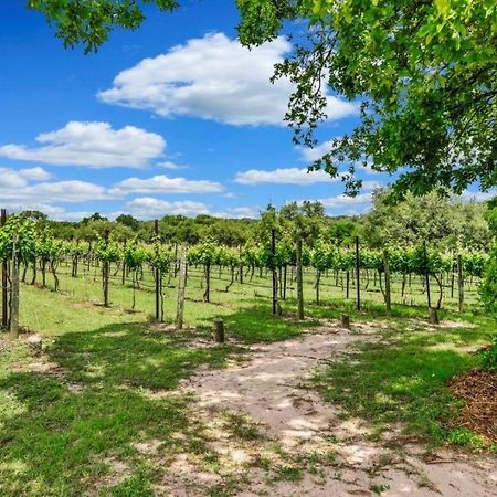 Hamilton Pool Vineyards & Farms Villa Hammetts Crossing Kültér fotó