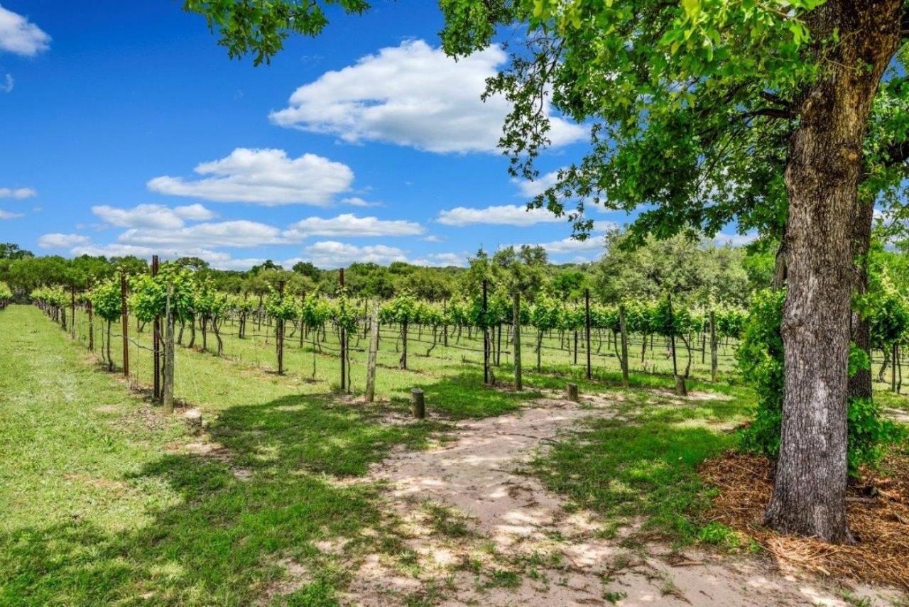 Hamilton Pool Vineyards & Farms Villa Hammetts Crossing Kültér fotó